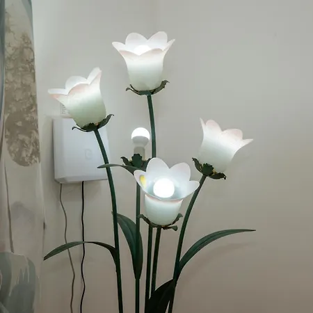 Apartment Roan *